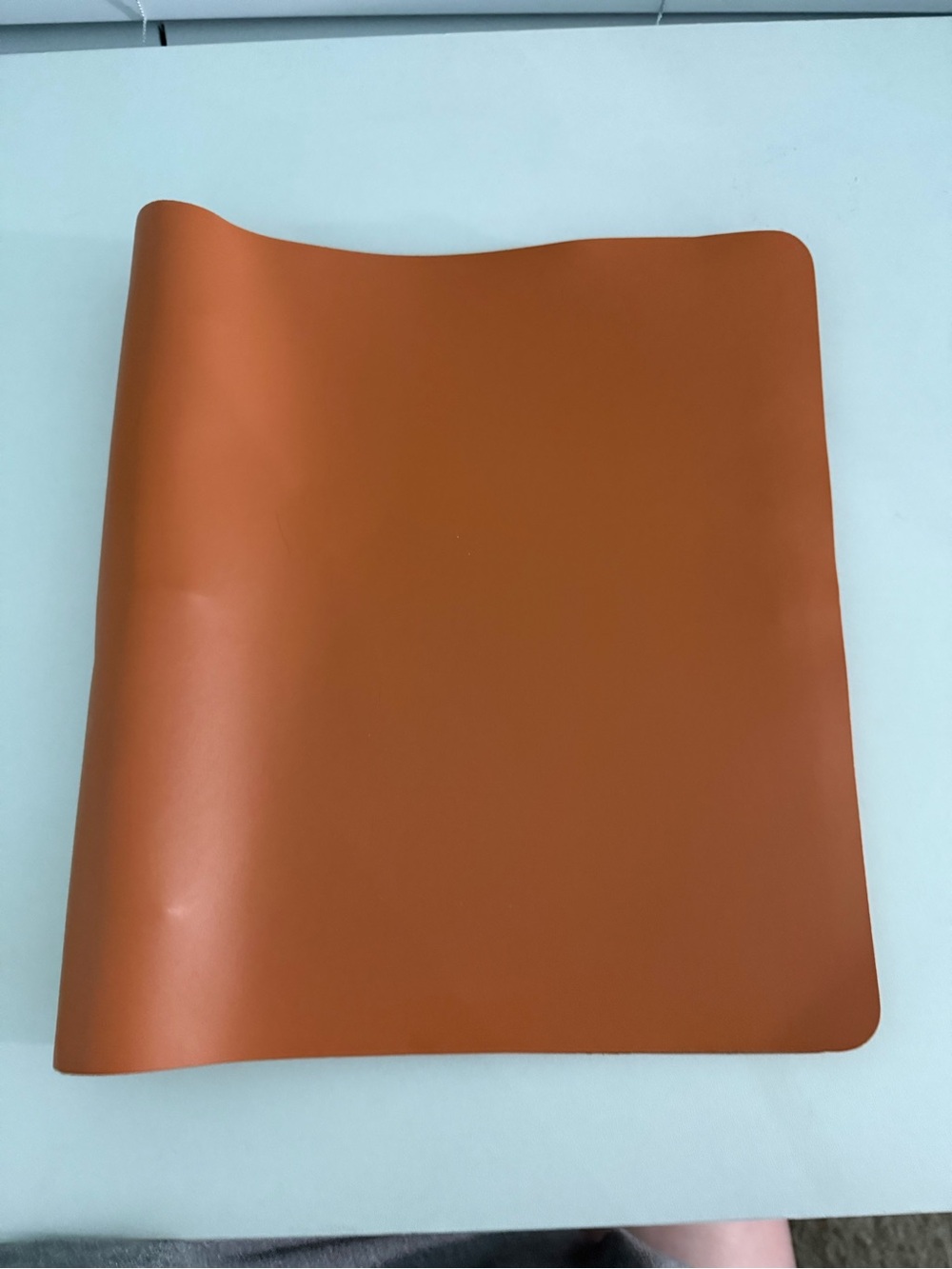 Leather planner and dividers